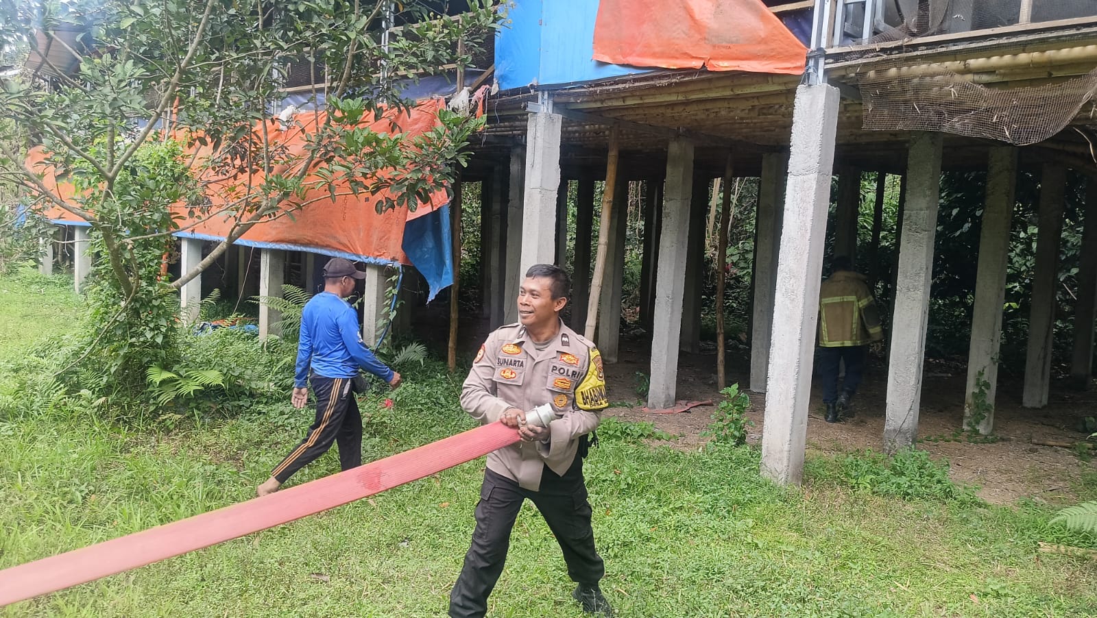 Pohon Pule 25 Meter Terbakar di Hutan Suranadi, Polisi dan Damkar Bergerak Cepat