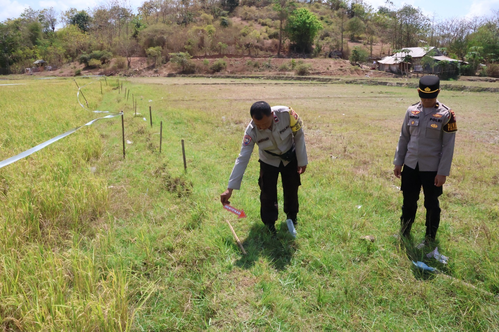 Polisi Tangani Petani Tewas Tersengat Listrik di Sawah Sumbawa