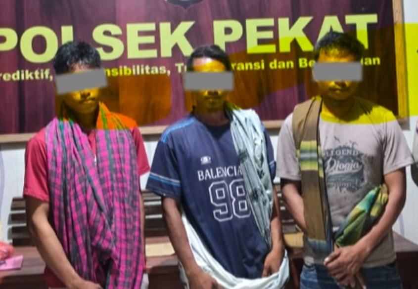 Polisi Telusuri Dugaan Pencurian Sapi di Dompu, Tiga Terduga Pelaku Ditangkap