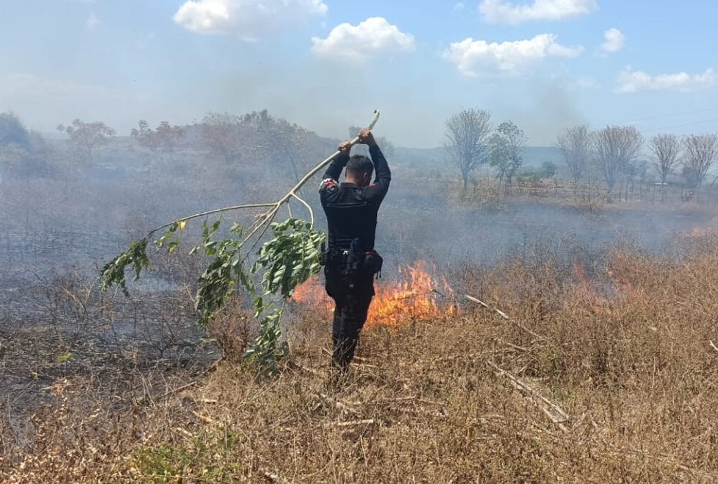 Respons Cepat Brimob Polda NTB Cegah Api Meluas di Lahan Sumbawa