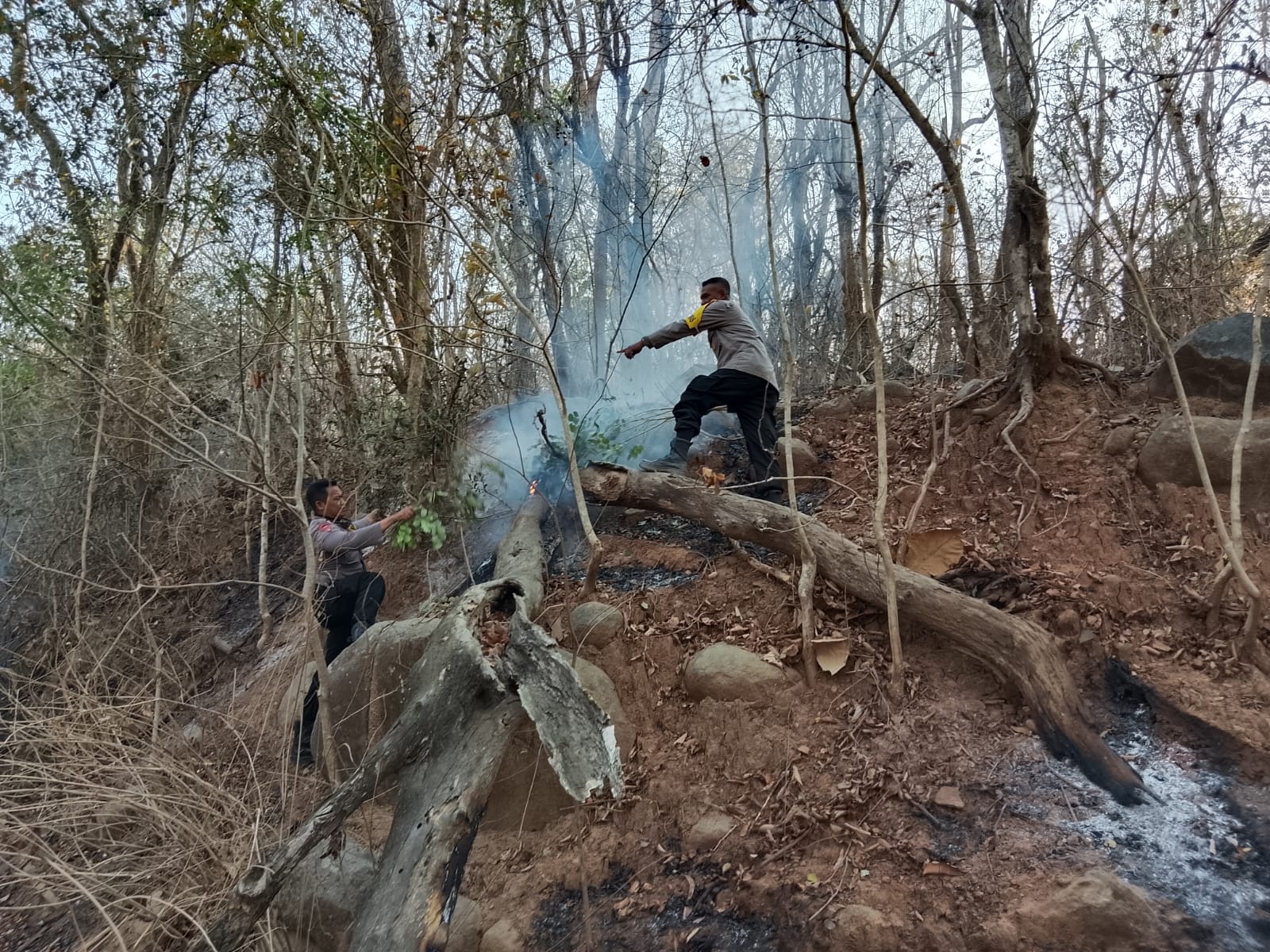 Jaga Hutan dari Ancaman Karhutla, Polsek Wawo Gencarkan Pemantauan dan Imbauan