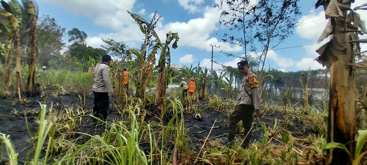 Kebun Rumput Gajah Terbakar di Terara Lombok Timur, Polisi dan Damkar Cegah Api Meluas