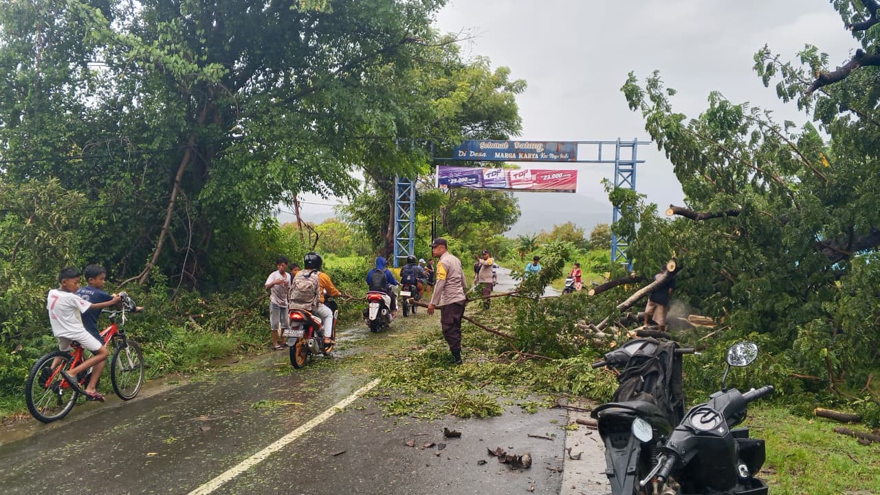 Aksi Cepat Polisi di Sumbawa, Cegah Kemacetan Akibat Pohon Tumbang